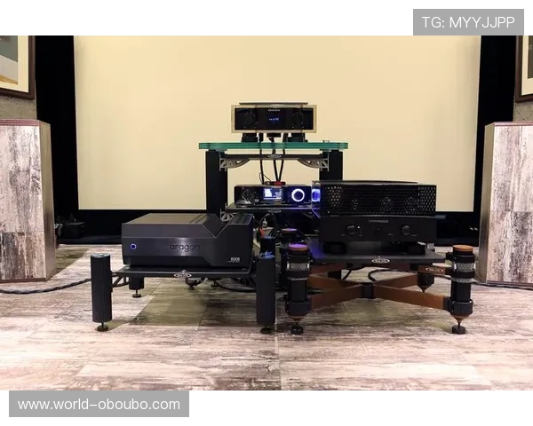 欧博1比1私盘最新玩法解析,助你轻松掌握高收益技巧