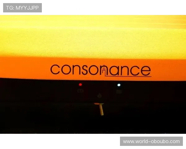 欧博222胆前级的品牌历史与发展趋势，探索未来升级方向