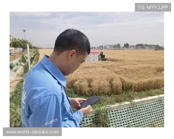 欧博app官方入口在哪,详细解答不同设备登录入口的具体位置 欧博app官方入口在哪,详细解答不同设备登录入口的具体位置