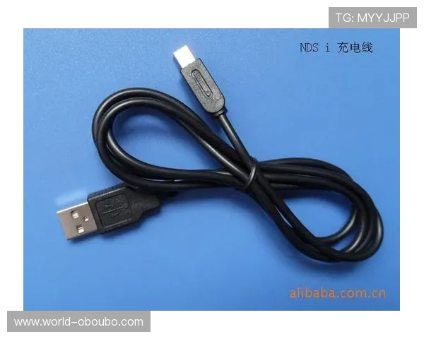 欧博代理系统官方入口地址在哪里，快速找到官方登录入口的详细步骤