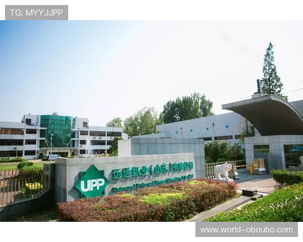 欧博商贸官网首页优化设计理念，提升品牌形象与用户信任感